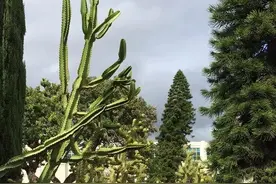 伯克利音乐学院有哪些专业处于世界顶尖水平？图片