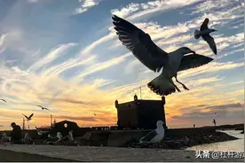 央媒点名精神鸦片！两巨头跌最狠，三七互娱、完美世界股价不成样图片