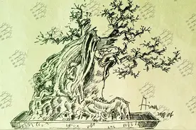 爱木盆景I 黄荆桩材造型设计实例，满树的枯干部分做成舍利很漂亮图片