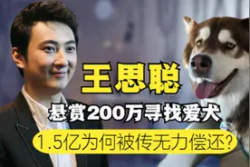 王思聪有多豪，悬赏100万寻爱狗，多次“限消令”后损失20亿图片