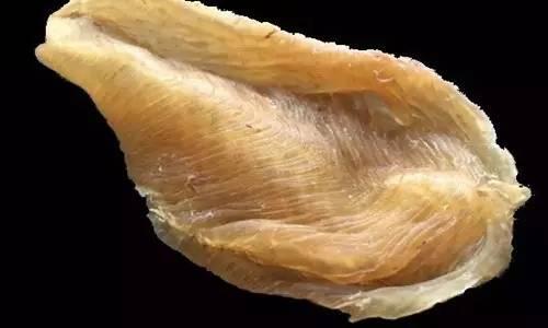 一立花胶鱼肚 2026年花胶鱼肚的功效与作用