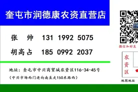 润德康之番茄高产十三篇，加工番茄产量关键——苗期管理图片
