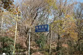 中山陵八号--孙科，许世友旧居图片
