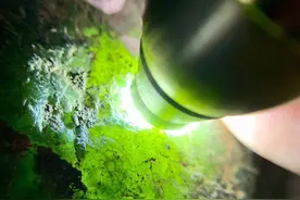 会卡，皮壳完整图片