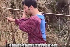 美国洋女婿回重庆农村，挑大粪干农活，网友：蚊子都吃西餐图片