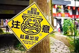 妖怪出没、文旅出圈，台湾妖怪村靠IP年均吸引200万游客图片