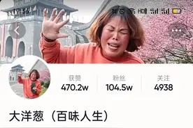 包容一些，对待那几颗洋葱-评宿迁网红大洋葱图片