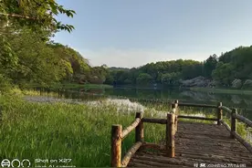 《海蒂》电影观后感——图片