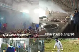 生物除臭剂消毒剂的组成和使用方法，养殖场等被检查前有效除臭法图片