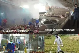 生物除臭剂消毒剂的组成和使用方法，养殖场等被检查前有效除臭法图片