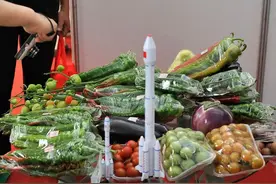 为何每次神舟飞天都要带种子？背后是2000亿市场，太空育种很厉害图片