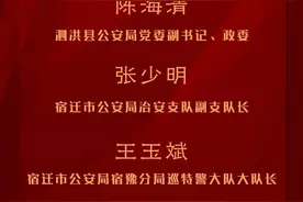 致敬英雄丨宿迁公安三个集体、三名个人受到全省表彰！图片