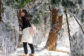 宁波的乔戈里峰，冰雪奇缘，雾凇胜景图片