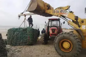 乳山海岸带整治加快推进，牡蛎安置区搬迁已全面启动图片