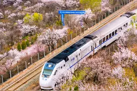 北京这趟只需6块钱开往春天的列车，又双叒叕火了！图片