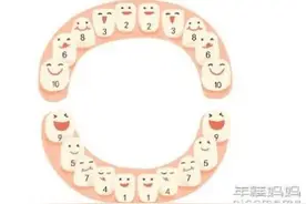 宝宝说话晚、走路迟，什么时候需要看医生？图片