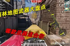 和平精英：雨林地图武器大盘点，教你如何挑选适合自己的武器图片