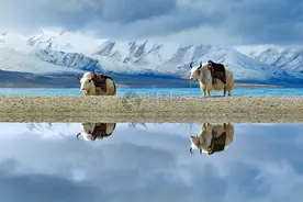 感悟西藏旅行图片
