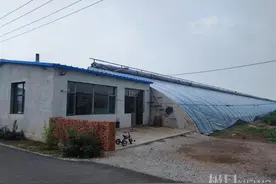 辽宁男子猥亵杀害同村11岁女童：三次被判死缓，遇害者父母已申诉图片