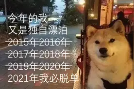 为什么坐火车是脱单的最好时机？返校复工的单身狗必看图片