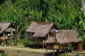 太平洋上最奇葩的部落，居民常年赤裸，生孩子的方式让人不淡定图片