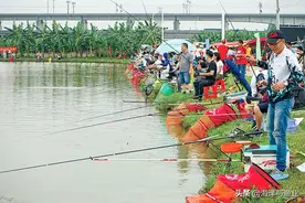广东省休闲渔业与垂钓协会 不懈耕耘做休闲渔业领路人图片