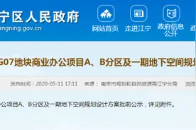 金轮南站G07地块规划出炉！南站将添一栋公寓楼图片