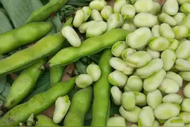 蚕豆炒肉末，费饭图片