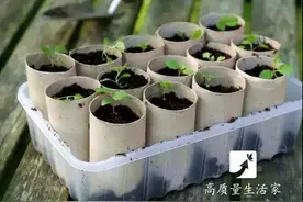 卷纸“最值钱”的就是芯了！可惜你把它们全扔了！图片