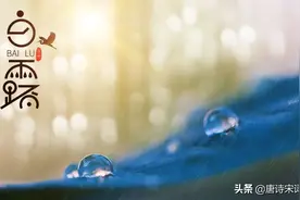 白露节气，赏析杜甫的《白露》图片