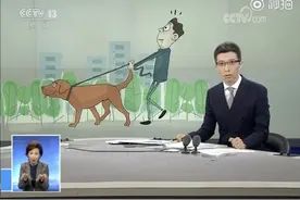 朱广权新解“一丝不苟” 手语老师：下班别走！图片