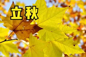 俗语“六月立秋，两头不收”，六月立秋不好吗？看看解释就知道图片