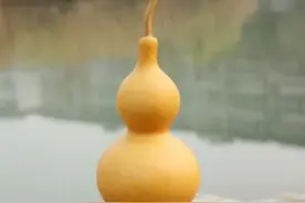 葫芦如何摆放图片