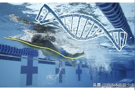 这个问题80%的游泳爱好者都有，却不知道为什么图片