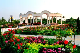 从化西和村：“花花世界”惹人醉，精品景区特色多图片