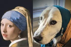 有的COSPLAY画风确实是清奇，偶尔让人难以接受，看多了觉得还行图片