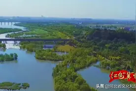 红色“冀”忆｜廊坊固安林子里战斗图片