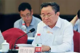 宁波首富熊续强：从500亿到负债500亿，仅仅用了2个月图片