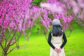 收藏！“一年之计在于春”，达州最全赏花地图，一整个春天都在这里啦！图片
