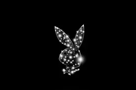 今日份壁纸｜PLAYBOY图片