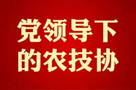 党领导下的农技协丨广西南宁市兴宁区农业种养殖协会图片