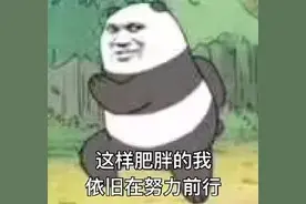 表情包 | 这样肥胖的我，依旧在努力前行图片