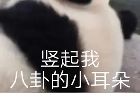 状况频出？Exness平台年后投诉不断！老牌平台口碑堪忧图片