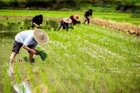 如何避免体力劳、脑力劳、房劳？《内经》长寿系列第十三讲图片