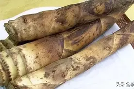 竹笋做法简单又好吃,这样的家常做法你们会吗?图片