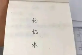 小学生一本正经的“记仇本”令人哭笑不得，网友：将记仇进行到底图片