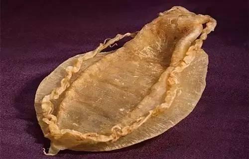 干黄花胶有不新鲜的吗 2026年干黄花胶有不新鲜的吗怎么吃