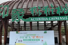 打造消费扶贫新模式 建设银行助力脱贫攻坚图片