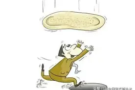 刷刷刷刷刷刷刷刷刷，97000元刷一刷就没了图片
