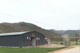 【决战决胜脱贫攻坚】秦州区汪川镇苏城村：发展特色产业  拓宽致富渠道图片